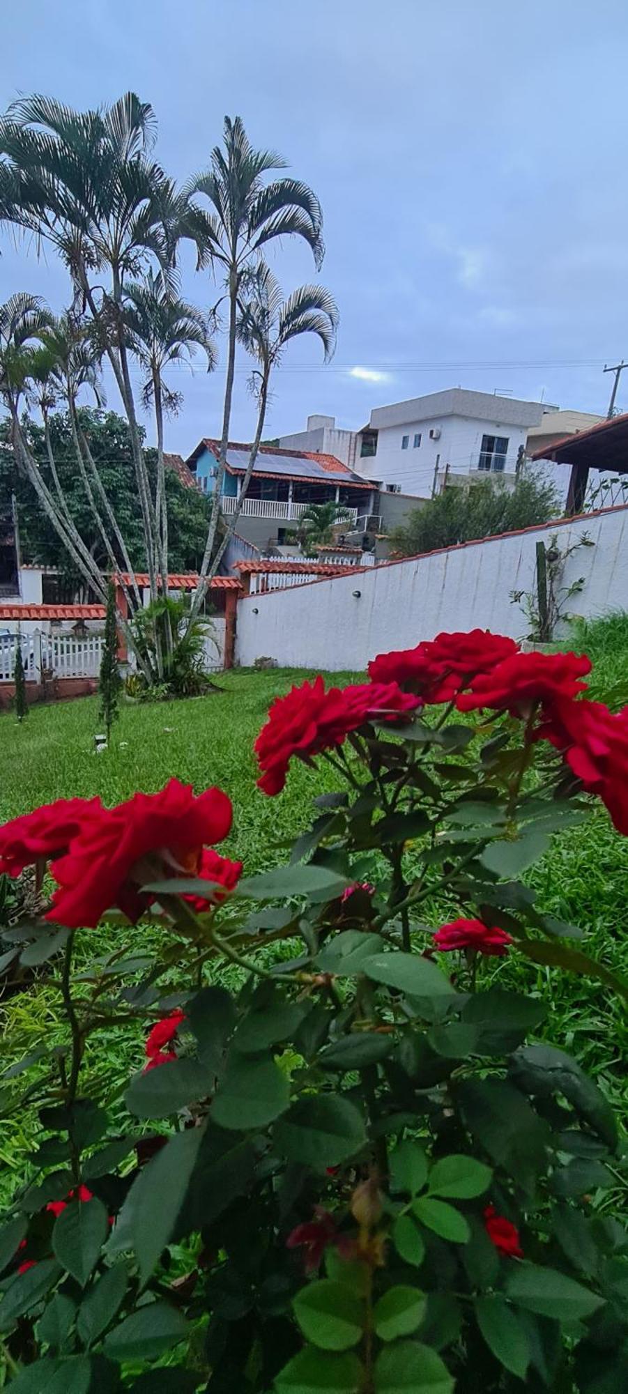 Отель Red Rose Кабу-Фриу Экстерьер фото